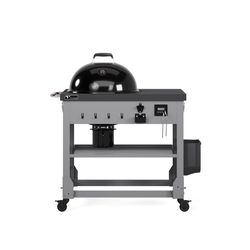 TYTUS 22 in. Charcoal/Wood Grill Black
