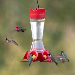 Perky-Pet Hummingbird 16 oz Plastic Bird Feeder 5 ports