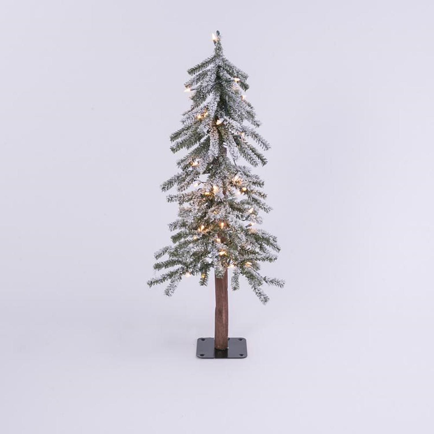 image-3