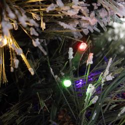 Holiday Bright Lights 9 ft. Full LED 2700 ct Tripoli Pine Sparkle Color Changing Christmas Tree