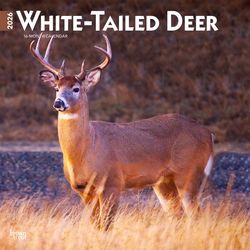 BrownTrout Publishers 2026 Square Flap .11 in. H X 12 in. L Multicolored Paper White Tailed Deer Cal