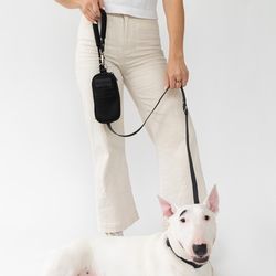 Springer Black Walk Bag Dog Leash