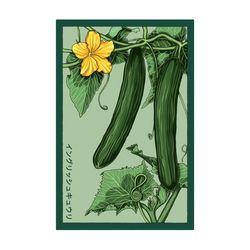 Chive Shido Seed Co. Cucumber Seeds 1 pk