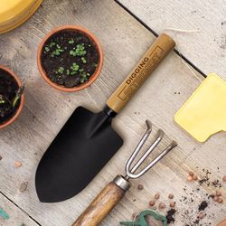 P Graham Dunn 11.25 in. Steel Garden Trowel Wood Handle