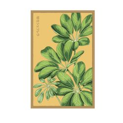 Chive Shido Seeds Dwarf Schefflera Houseplant Seeds
