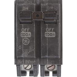ABB Q-Line 100 amps Standard 2-Pole Circuit Breaker