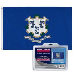 Valley Forge Connecticut State Flag 0 in. H X 3 ft. W X 5 ft. L