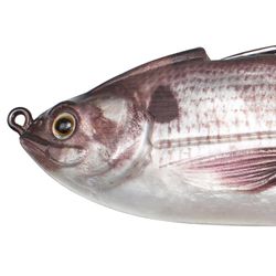 Lunkerhunt Fishing Lure