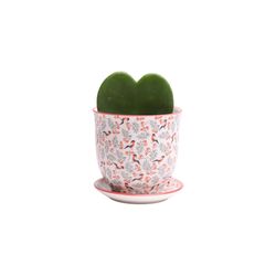 Chive Liberte 3.25 in. D Ceramic Succulent Pot Red Birds