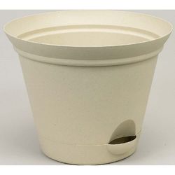 Misco Flare 2.24 in. H X 7 in. D Plastic Planter Cream