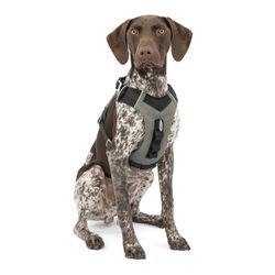 PetSafe Journey Air Black Nylon Dog Harness Medium