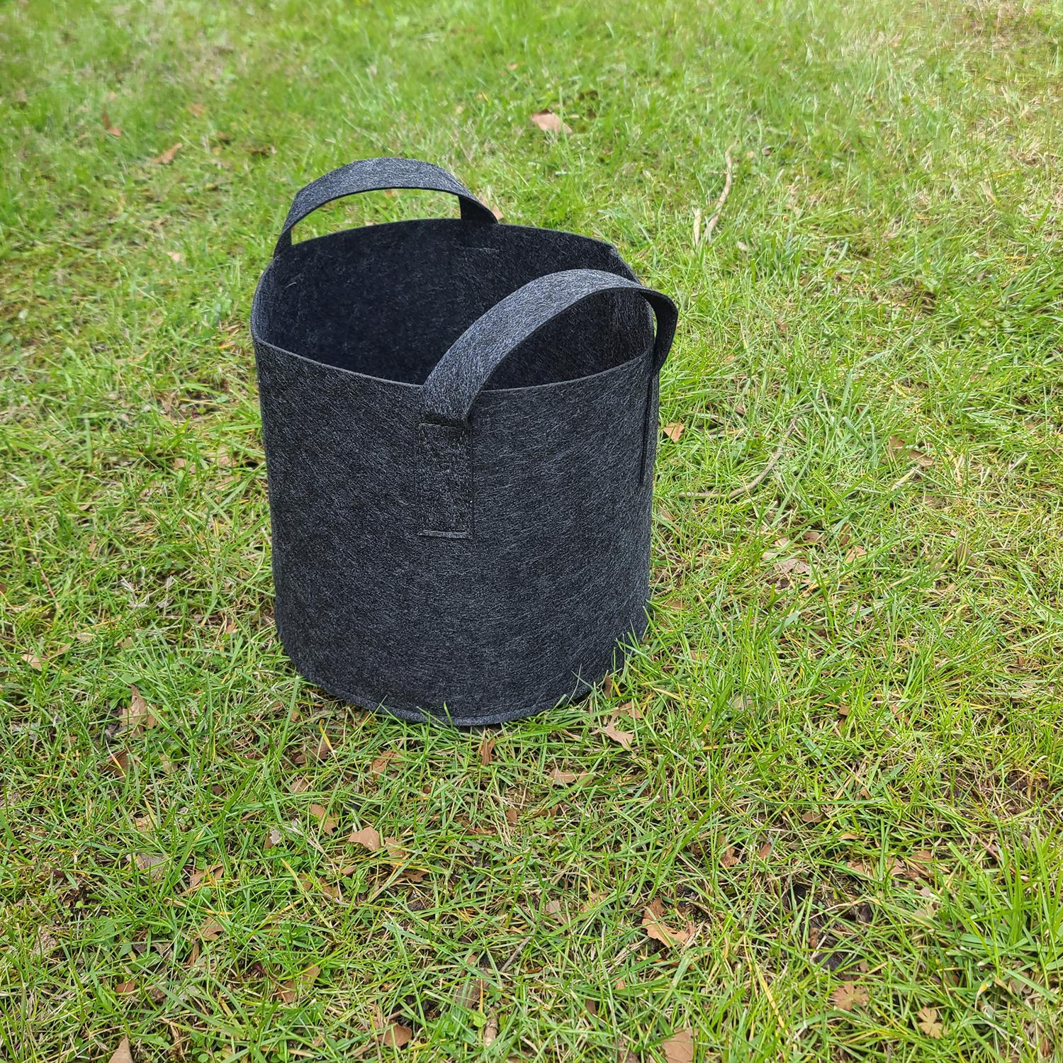 image-2