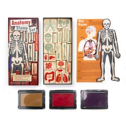 Kikkerland Anatomy Stamp Set Multicolored 21 pc