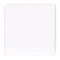 USG Ceilings Custom 12 in. L X 12 in. W 0.5 in. Staple Ceiling Tile 1 pk