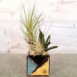 Eve's Garden 9 in. H X 3 in. W X 3 in. D Ceramic Mosaic Air Plant and Succulent Multicolored
