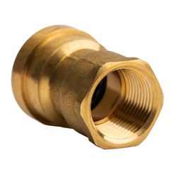 QuickFitting Push to Connect 3/4 in. PF in. Brass Adapter