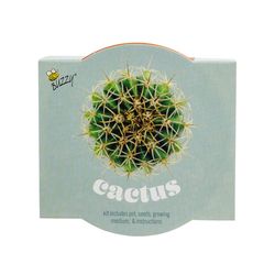 Buzzy Classic Terra Cotta Cactus Grow Kit 1 pk