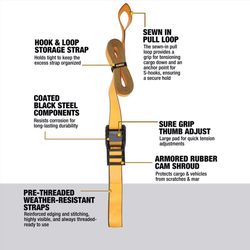 DeWalt 2.0 in. W X 16 ft. L Cargo Tie Down Lashing Strap 1000 lb 2 pk