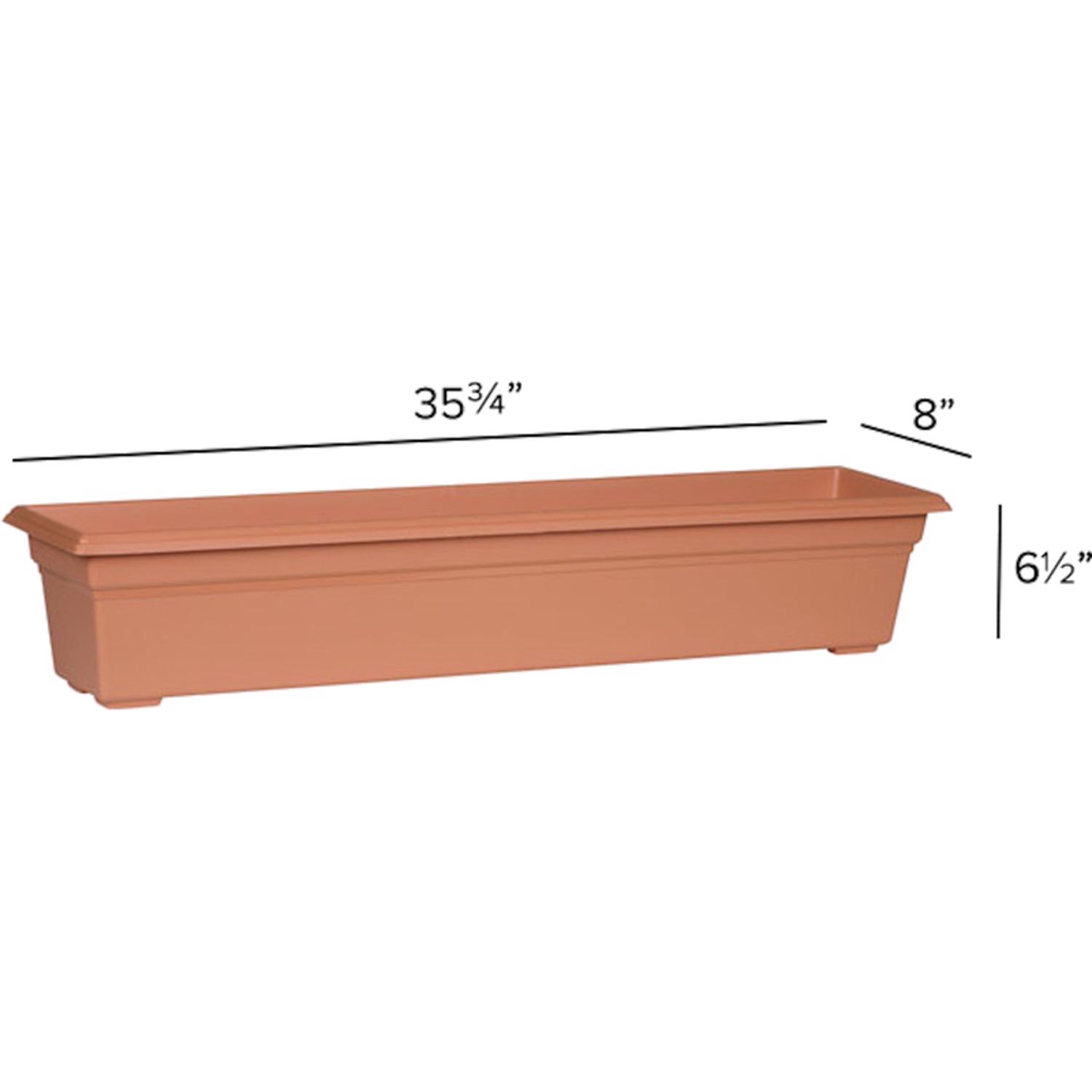 image-6