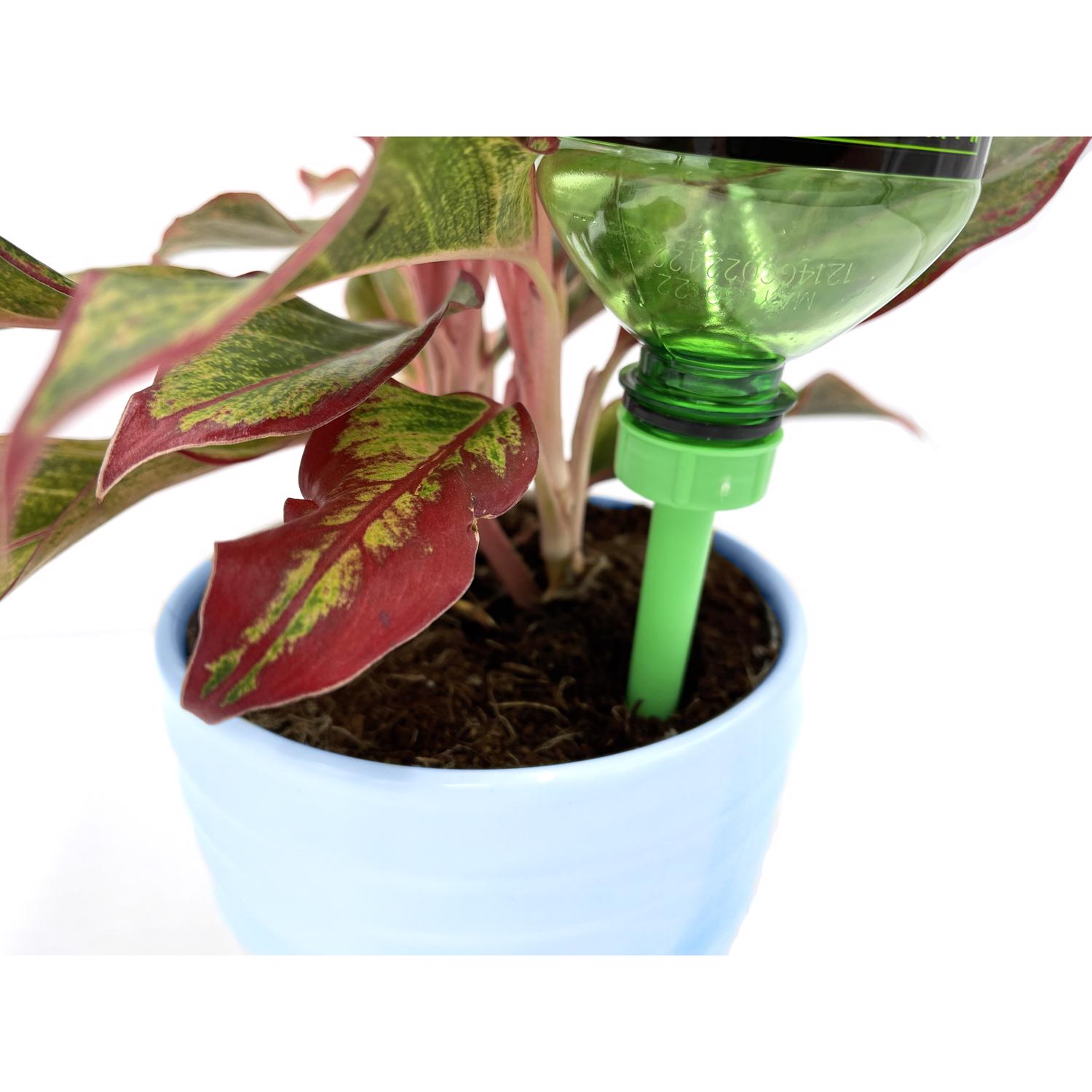 image-5