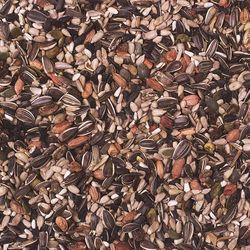 Wild Delight Nut N Berry Wild Bird Food 20 lb