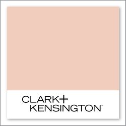 Clark+Kensington Mocha Rose 10A-2