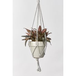 Primitive Planters Charcoal Cotton 18 in. H Plant Hanger 1 pk