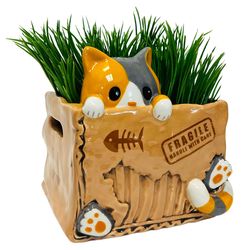 Streamline Ceramic Planter Multicolor