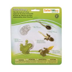 Safari Ltd. Safariology Life Cycle of a Frog 5 pc