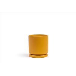 Momma Pots Gemstone Cylinder 8.5 in. H Porcelain Planter Mustard