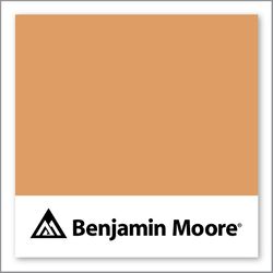 Benjamin Moore Grand Canyon 118
