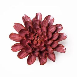 Chive Japan 2 in. H X 4.7 in. L Glazed Pink Ceramic Dahlia Wall Flower