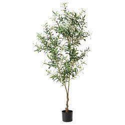 Glitzhome Green Plastic 72 in. H X 70 in. L X 24 in. W Artificial Potted Plant