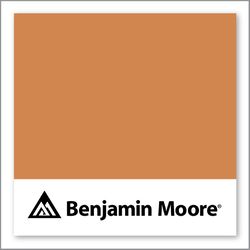 Benjamin Moore Cornucopia Tan 119