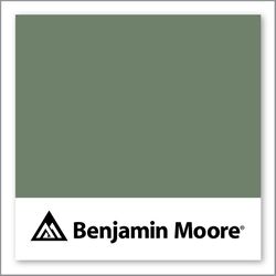 Benjamin Moore Pinelands 446