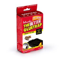 Intruder The Better Gluetrap Small Glue Trap For Mice 4 pk
