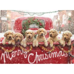 Avanti Press Greeting Card