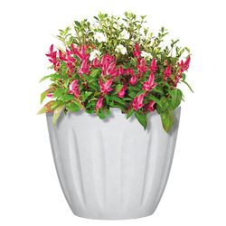 L&G Solutions 12.8 in. H X 16 in. W X 16 in. D X 16 in. D Polyresin Spritzer Planter White