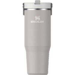 Stanley IceFlow 2.0 30 oz Ash BPA Free Tumbler with Straw Lid