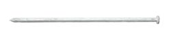 Ace 8 in. Spike Hot-Dipped Galvanized Steel Nail Diamond Head 5 lb