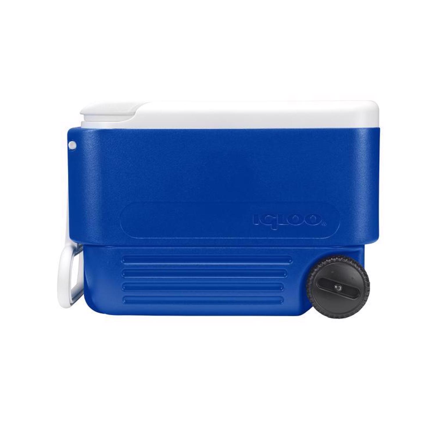 image-2