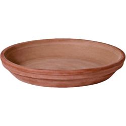 Deroma 1.2 in. H X 1.2 in. D X 9.3 in. D Clay Traditional Plant Saucer Chocolate