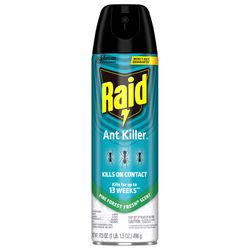 Raid Ant Killer Aerosol 17.5 oz