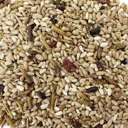 Wild Delight Bugs N' Berries Wild Bird Food 4.5 lb