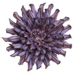Chive Japan 2.2 in. H X 5 in. L Glazed Lilac Ceramic Spider Mum Wall Flower