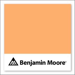 Benjamin Moore Tangerine Zing 132