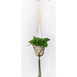 Primitive Planters Black/Cream Macrame 48 in. H Hammock Plant Hanger 1 pk