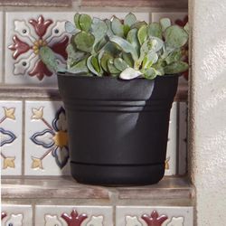 Bloem Saturn 8.5 in. H X 9.75 in. W Plastic Traditional Planter Black