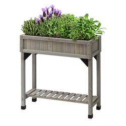 VegTrug Slimline Herb Garden 31.5 in. H X 30.7 in. W X 12.3 in. D Wood Garden Planter Gray