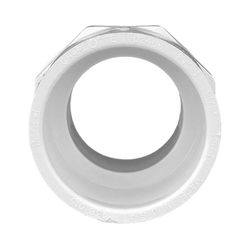 Charlotte Pipe Schedule 40 1-1/2 in. Slip X 1-1/2 in. D MPT PVC Pipe Adapter 1 pk